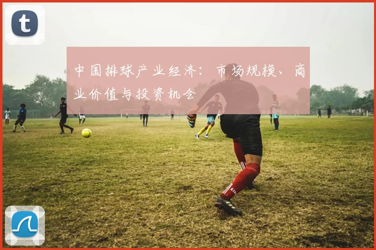 中国排球产业经济:市场规模、商业价值与投资机会