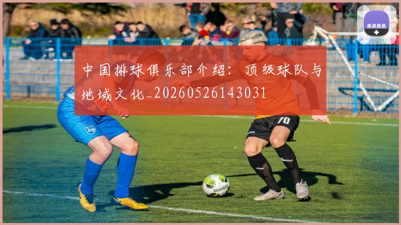 中国排球俱乐部介绍:顶级球队与地域文化_20260526143031