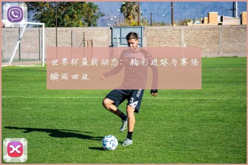 世界杯最新动态：精彩进球与赛场瞬间回放